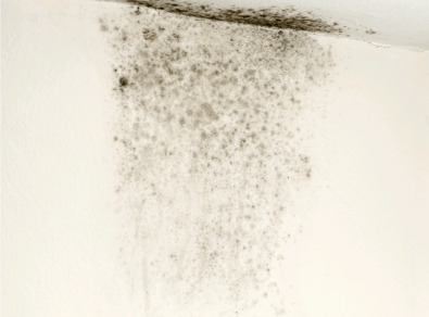 무주 주택 아파트 공장 결로검사 결로공사 시공업체