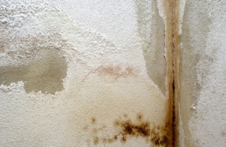 주택 결로 시공 PC 이미지 6106316